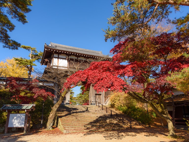 Chiaki Park (Senshu Park), Akita Chiaki Park (Senshu Park), Akita