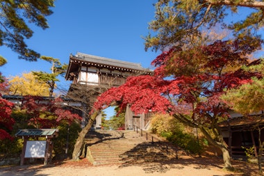 Chiaki Park (Senshu Park), Akita
