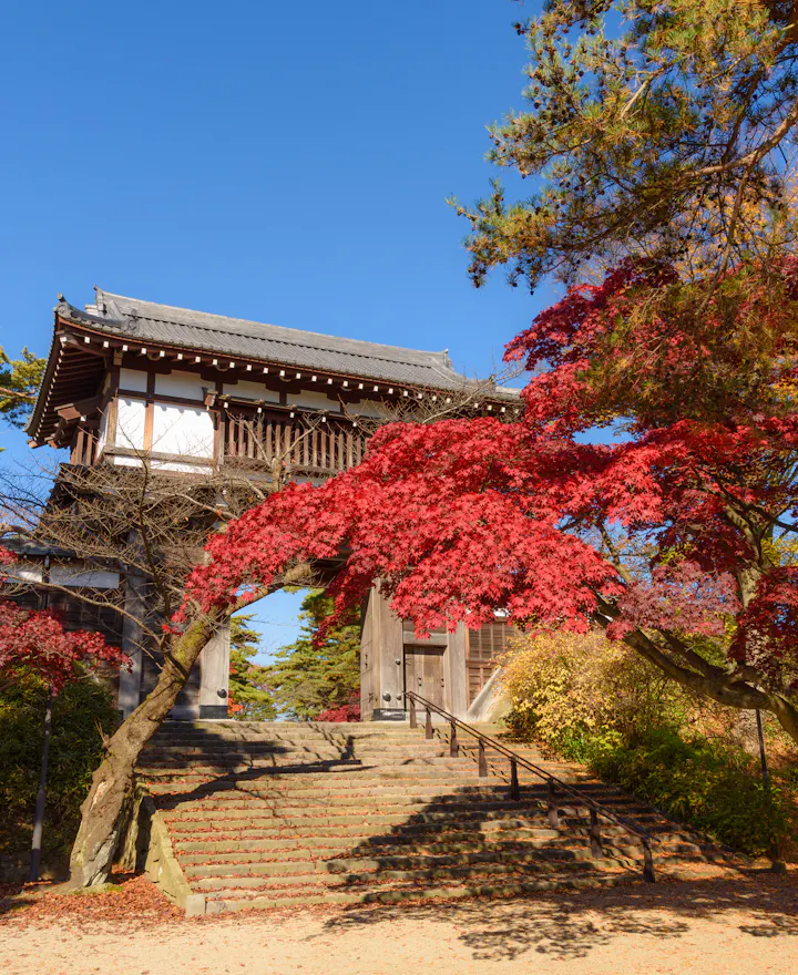 Chiaki Park (Senshu Park), Akita Chiaki Park (Senshu Park), Akita