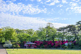 Chiaki Park (Senshu Park), Akita