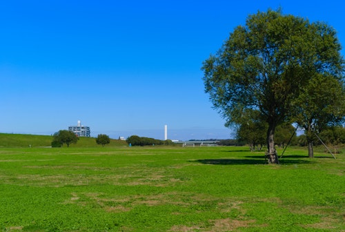 Edogawa Riverbed Ground