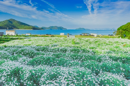 Flower Park Urashima