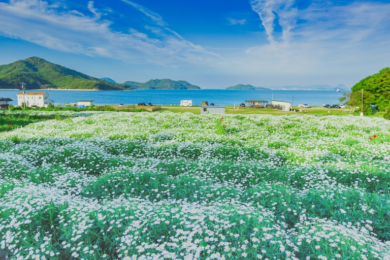 Flower Park Urashima