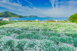 Flower Park Urashima