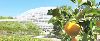Fuefukigawa Fruit Park