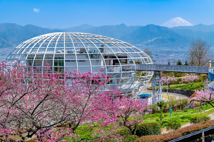 Fuefukigawa Fruit Park