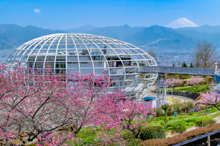 Fuefukigawa Fruit Park