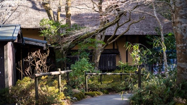 Hakone Amazake Tea House