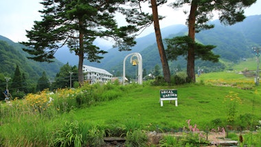 Hakuba Goryu Alpine Botanical Garden