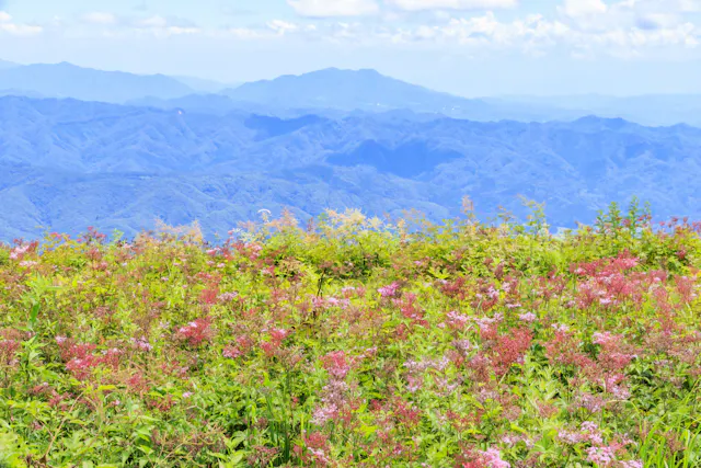 Hakuba Goryu Alpine Botanical Garden