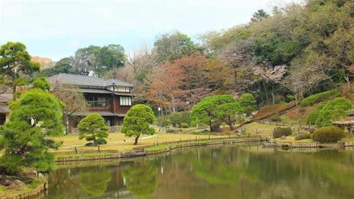 Higo Hosokawa Garden