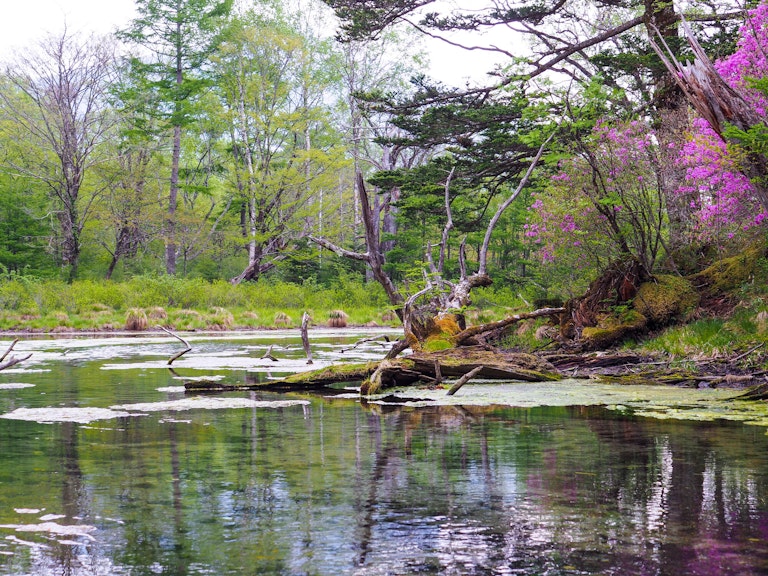 Izumiyado Pond