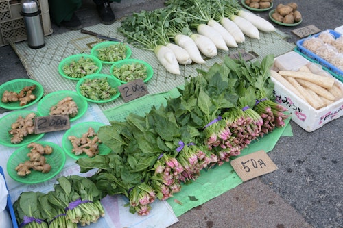 Katsuura Morning Market