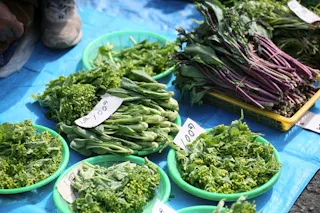 Katsuura Morning Market