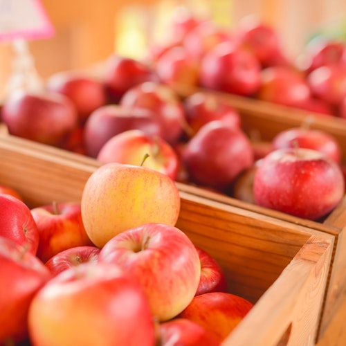 Jozankei Farm Jozankei Farm