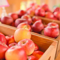 Jozankei Farm Jozankei Farm