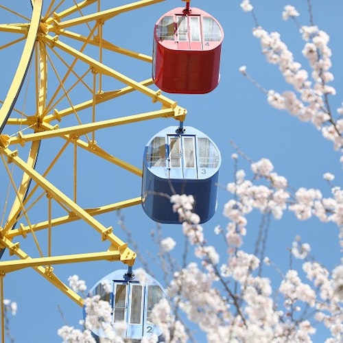 Kezoji Amusement Park Kezoji Amusement Park