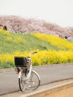 Kumagaya Sakura Tsutsumi