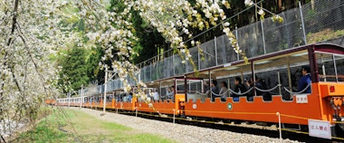 Kurobe Gorge Railway
