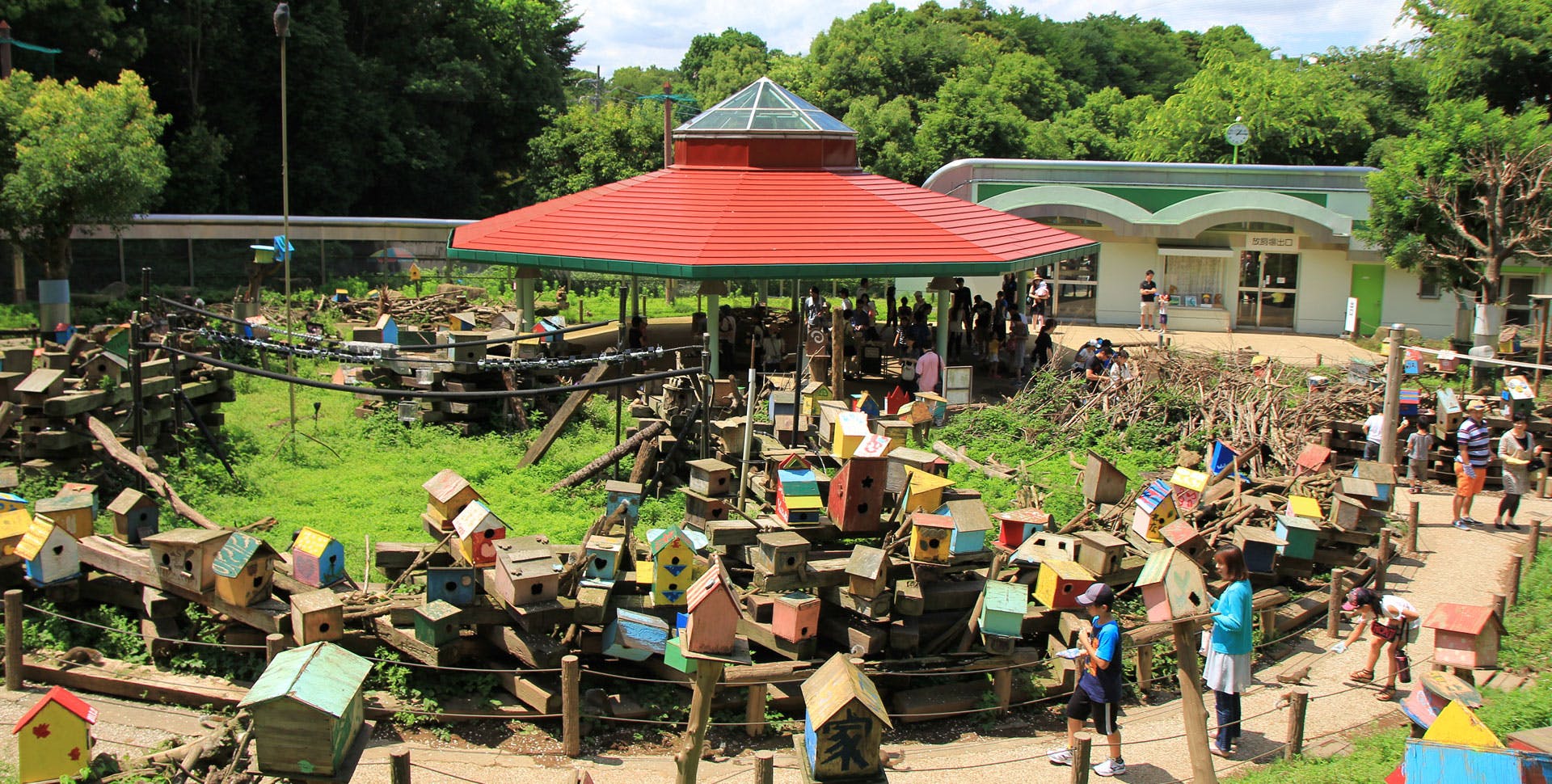 Machida Squirrel Garden
