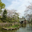 渋谷区立鍋島松濤公園