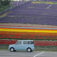 Nakafurano Hokuseiyama Lavender Garden Nakafurano Hokuseiyama Lavender Garden