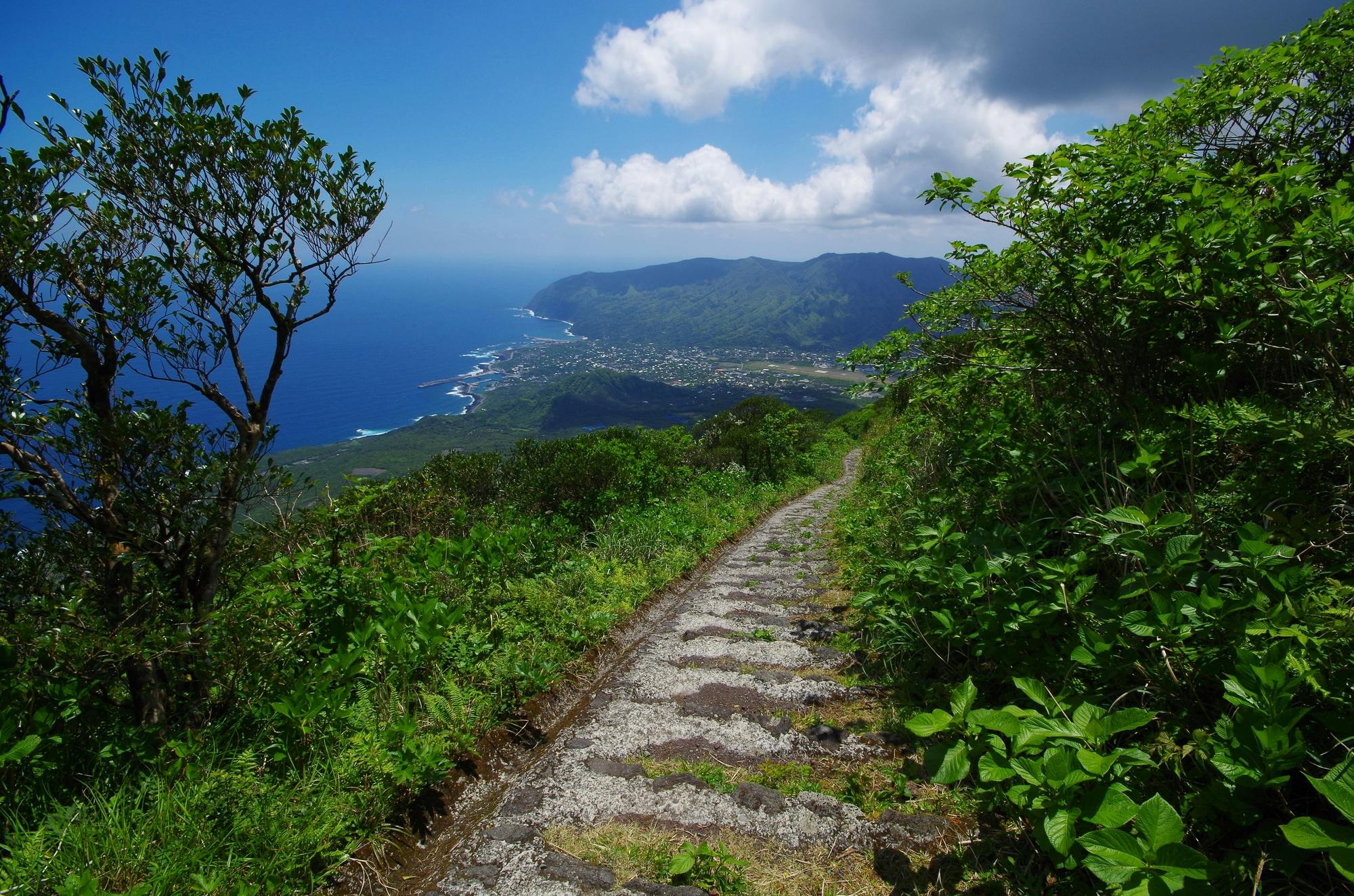 Nishiyama (Hachijo Fuji)