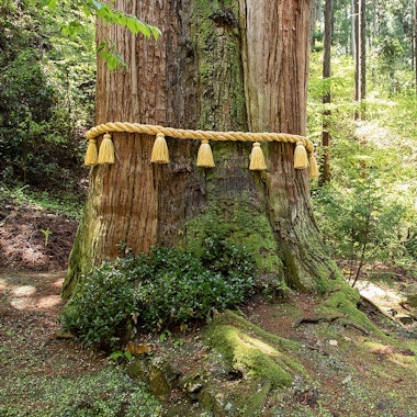 Oiwa Shrine Oiwa Shrine