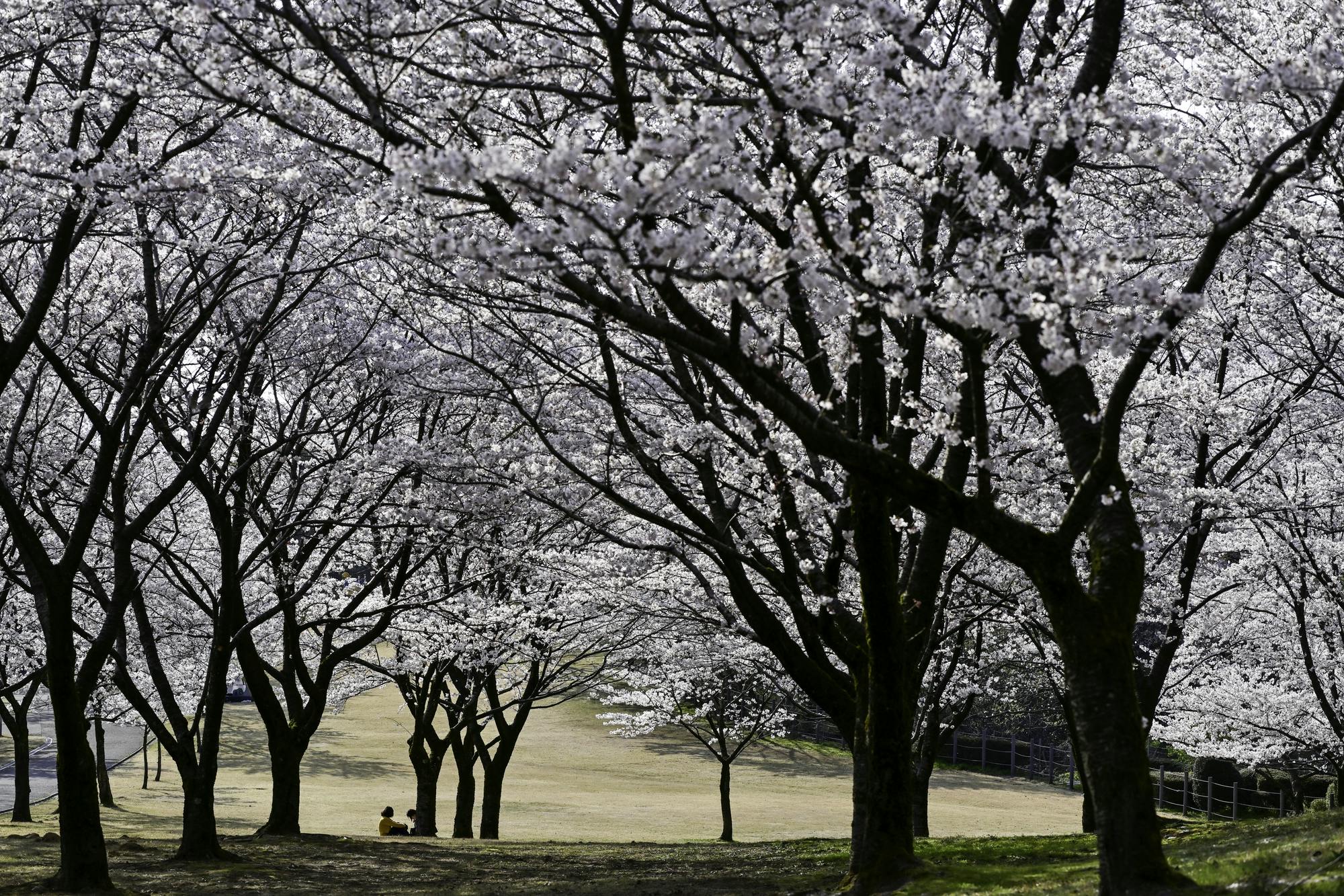 Okuutatsuyama Kenmin Park