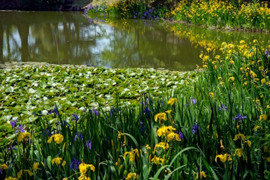 Okuutatsuyama Kenmin Park