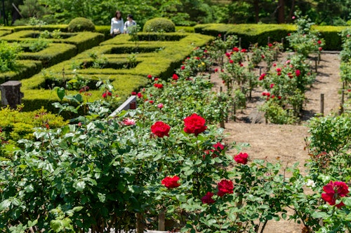 Okuutatsuyama Kenmin Park