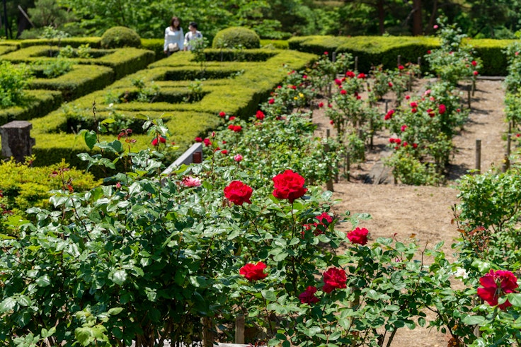 Okuutatsuyama Kenmin Park