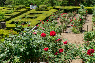 Okuutatsuyama Kenmin Park