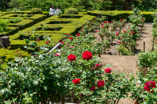 Okuutatsuyama Kenmin Park