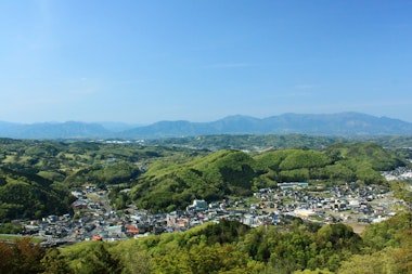 Oyama Hydrangea Road (Oyama Observation Deck)