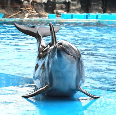 Port of Nagoya Public Aquarium