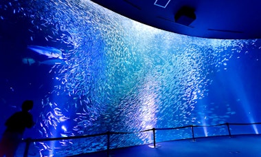 Port of Nagoya Public Aquarium