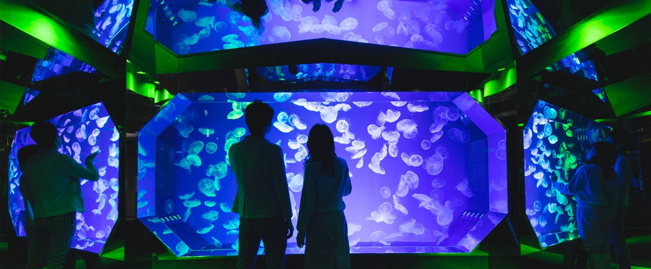 Port of Nagoya Public Aquarium