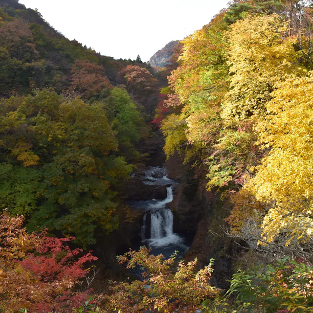 Sakunami Onsen Sakunami Onsen