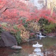 Sakurazaka Park