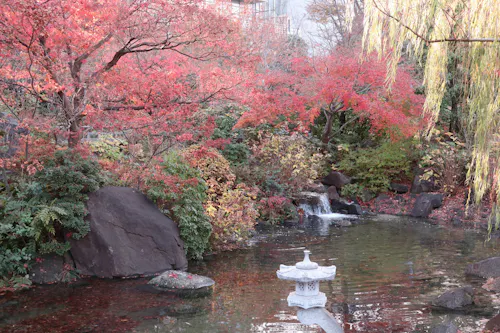 Sakurazaka Park, Minato