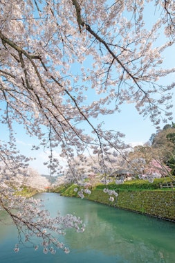 Shikano Castle Ruins Park