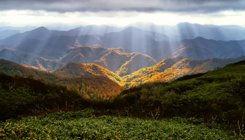 Shirakami Mountains