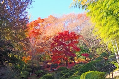 Shiranoe Botanical Garden