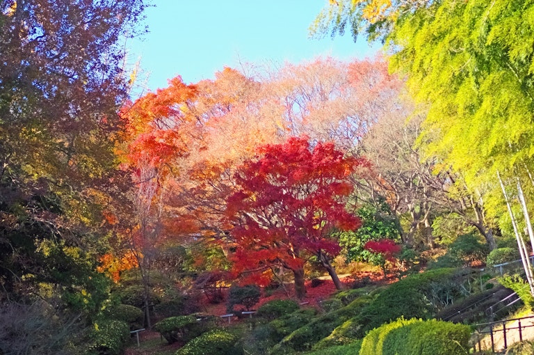 Shiranoe Botanical Garden