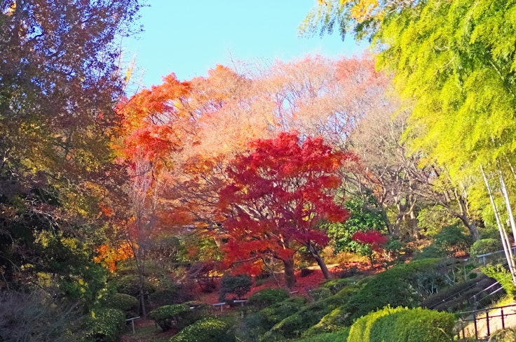 Shiranoe Botanical Garden