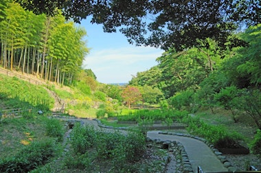 Shiranoe Botanical Garden