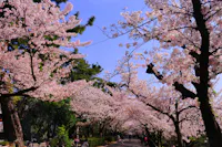 Shukugawa Park