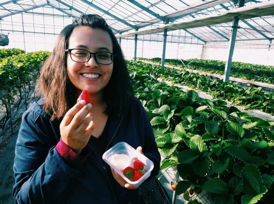 Kawatsura Strawberry Farm