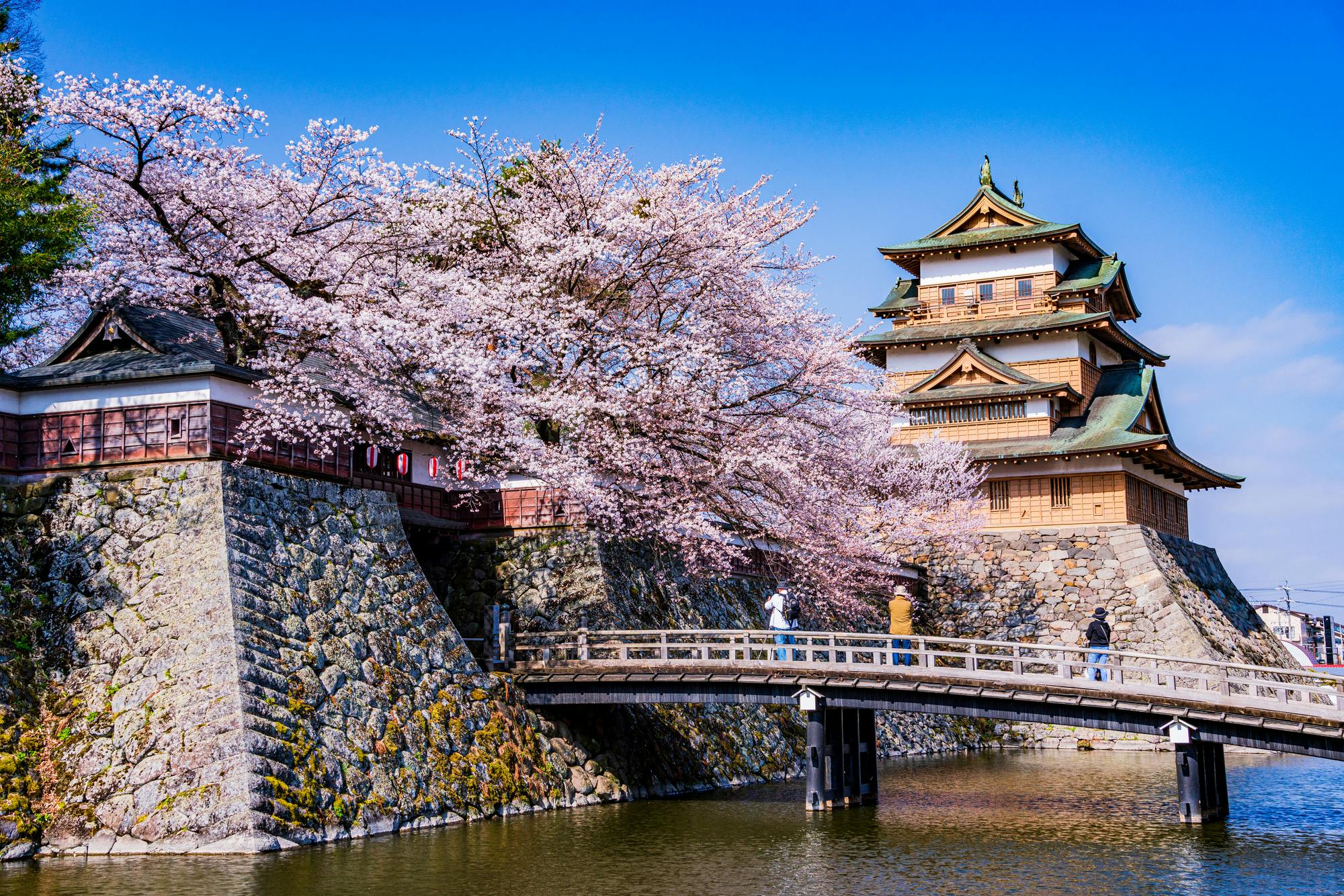 Takashima Castle Ruins